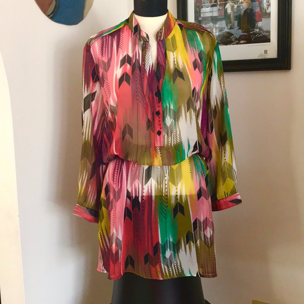 Strikingly Gorgeous Sheer Mini Dress Pockets Vneck
